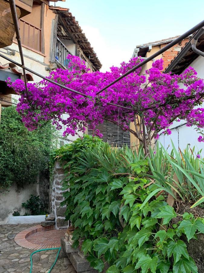 Lanzaroco, Tu Casa En La Vera Valverde de la Vera Luaran gambar